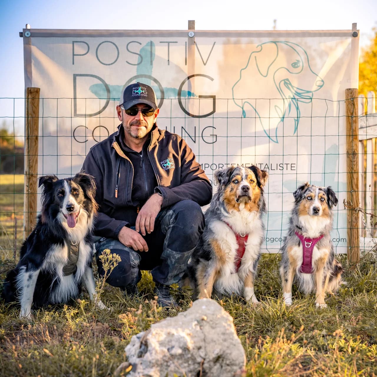 Séance d'éducation canine en visioconférence