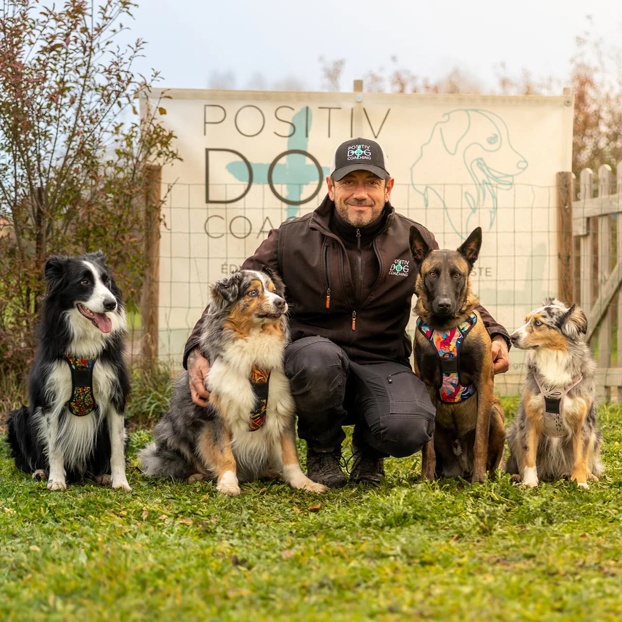 Éducateur canin Positiv Dog Coaching - Sébastien Gomez avec chien en éducation positive dans la Loire