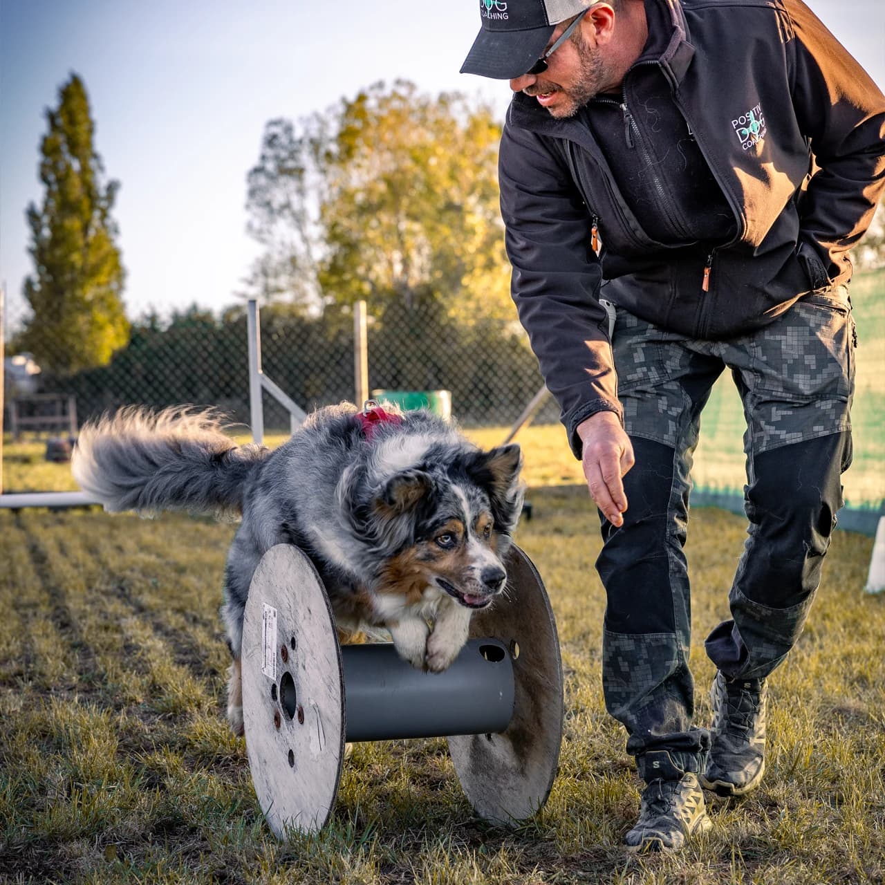 Séance individuelle d'éducation canine personnalisée