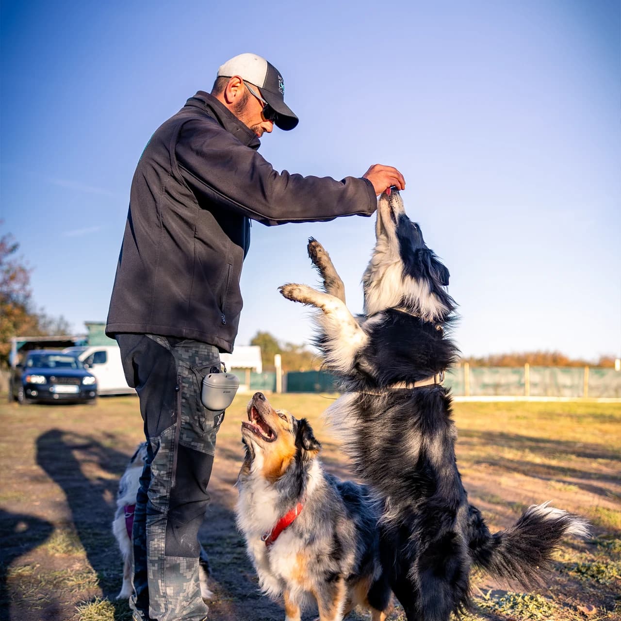 Bilan éducatif canin - Première séance d'éducation avec votre chien
