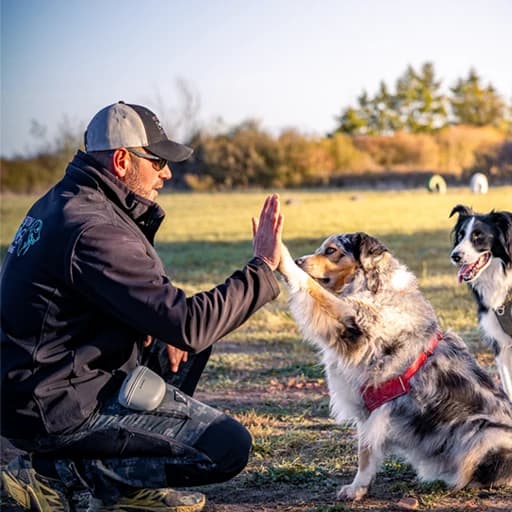 Sébastien Gomez - Éducateur canin Positiv Dog Coaching