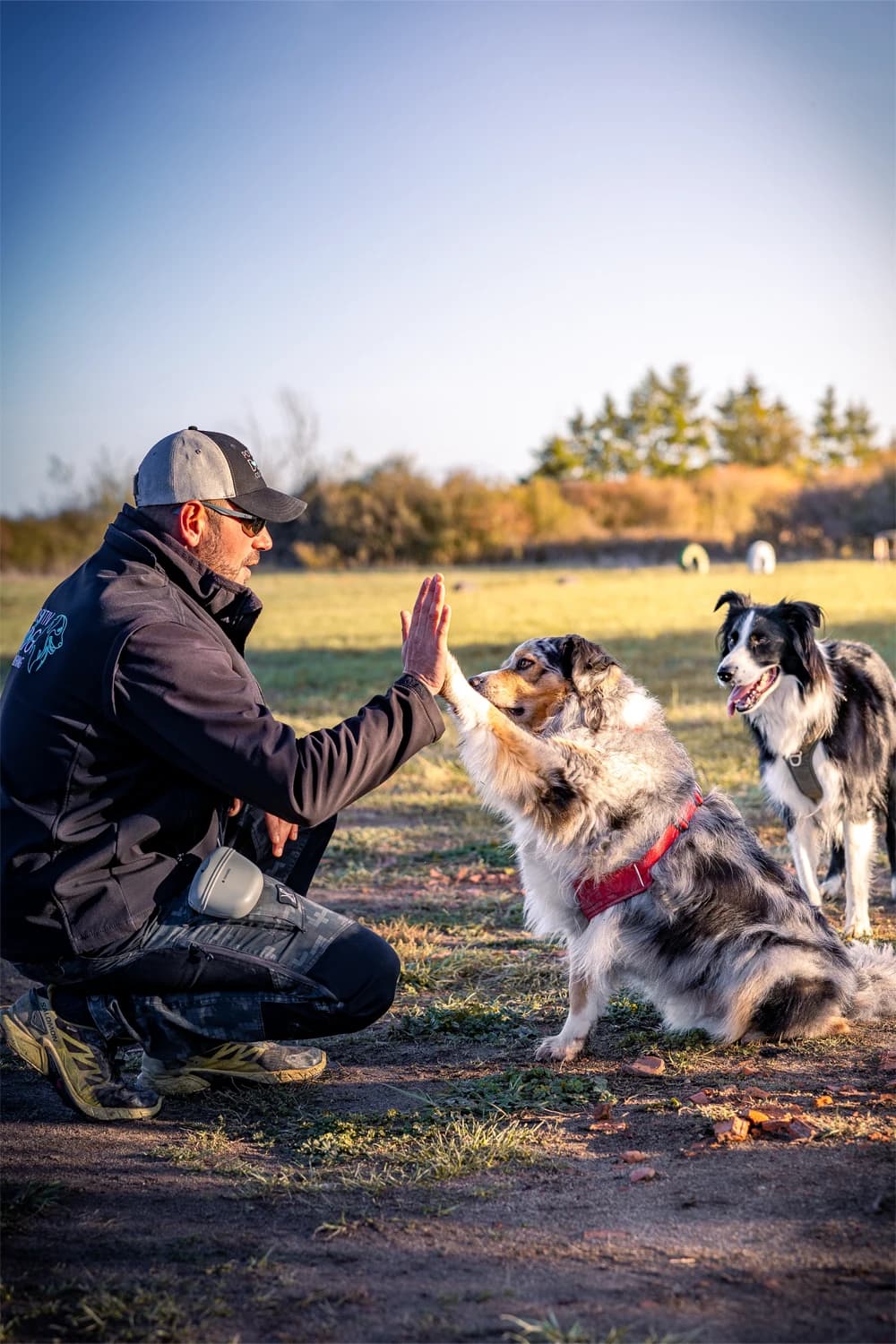Sébastien Gomez - Éducateur canin et comportementaliste professionnel Loire